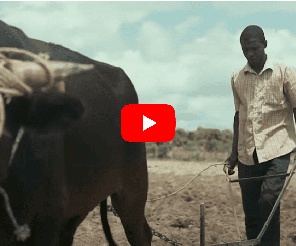 Adama, agriculteur